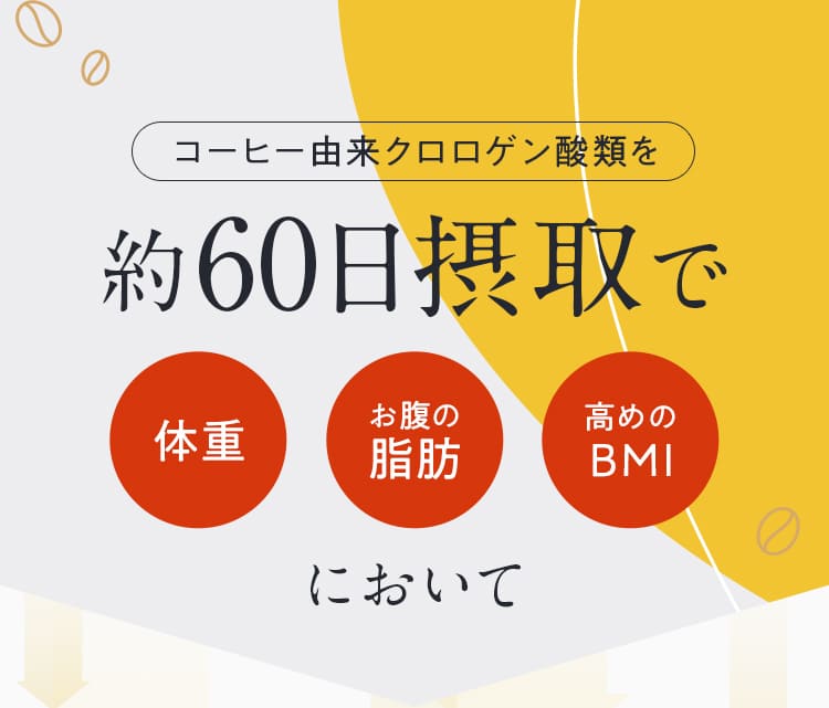 コーヒー由来クロロゲン酸類を60日摂取で体重 お腹の脂肪 BMIにおいて 
                