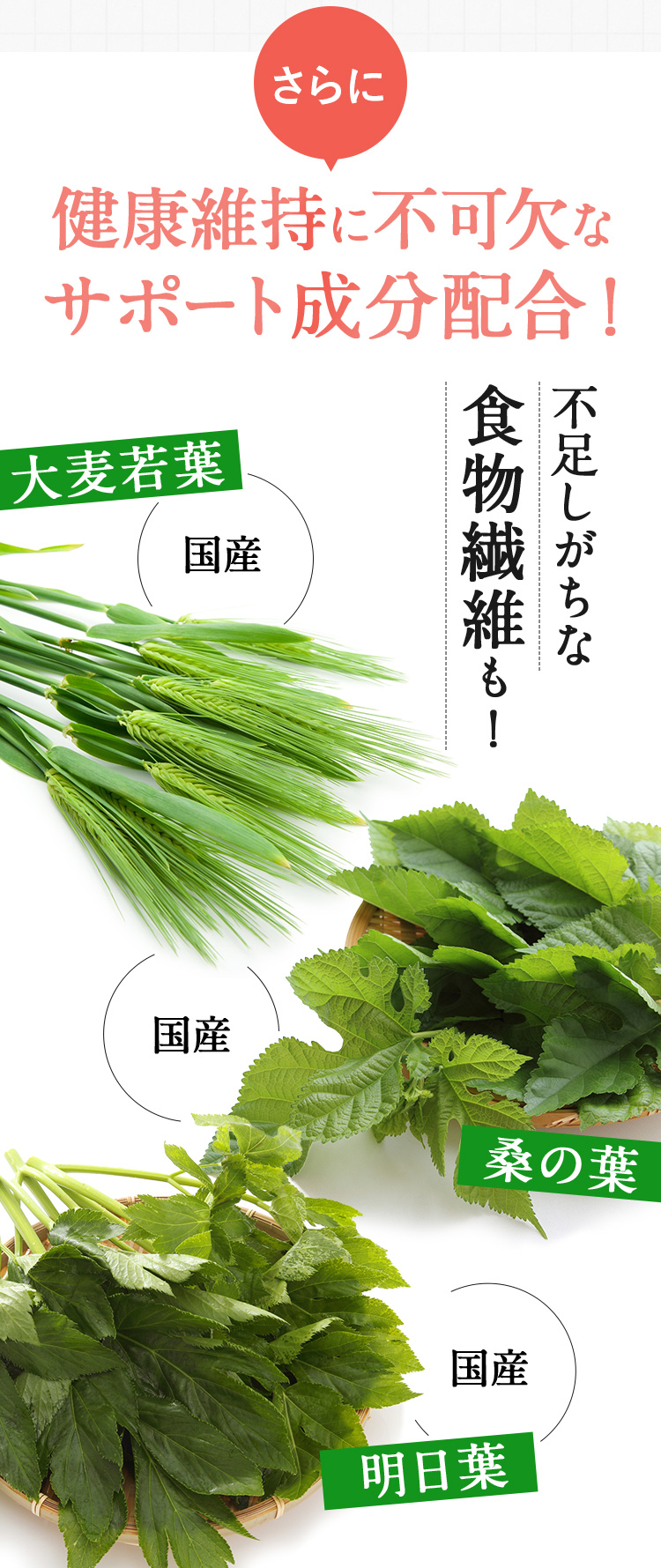 さらに健康維持に不可欠なサポート成分配合！