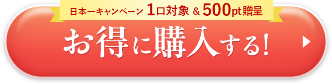 お得に購入する