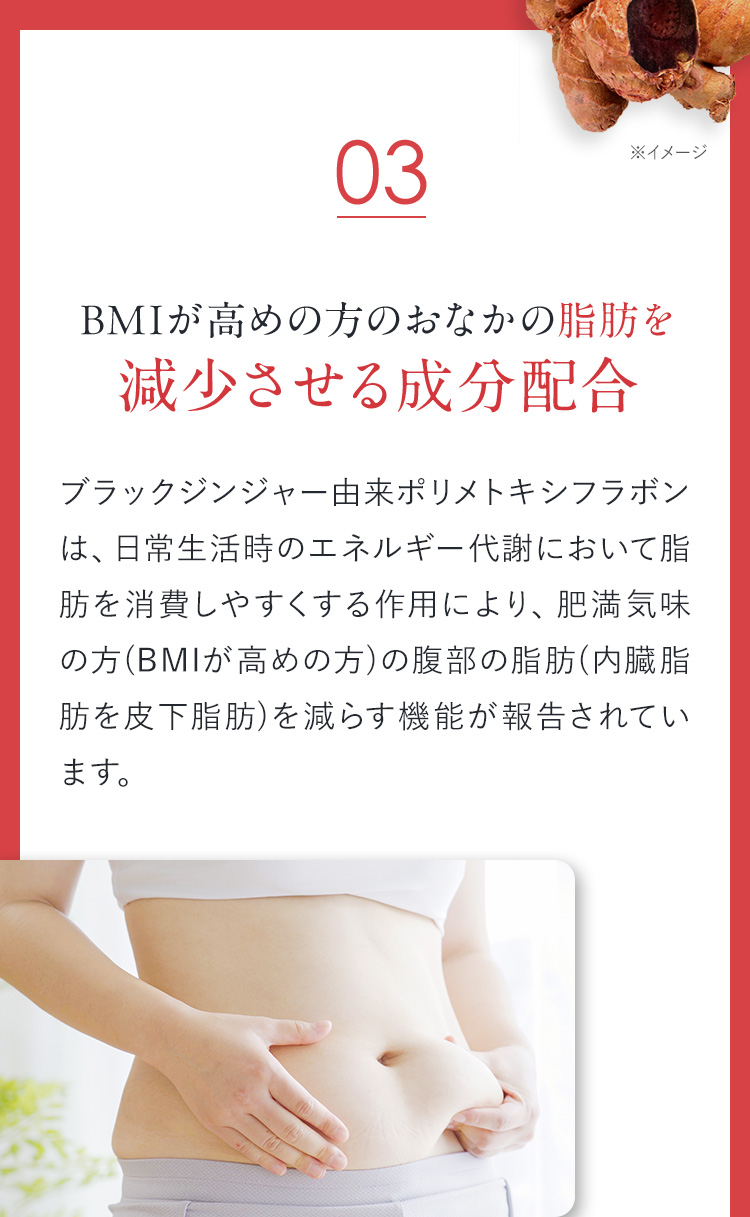 BMIが高めの方のおなかの脂肪を減少させる成分配合