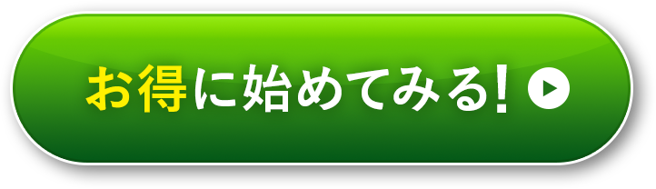 お得に始めてみる
