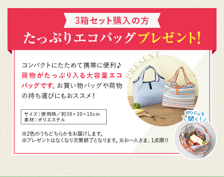 3個セット購入の方たっぷりエコバッグプレゼント
