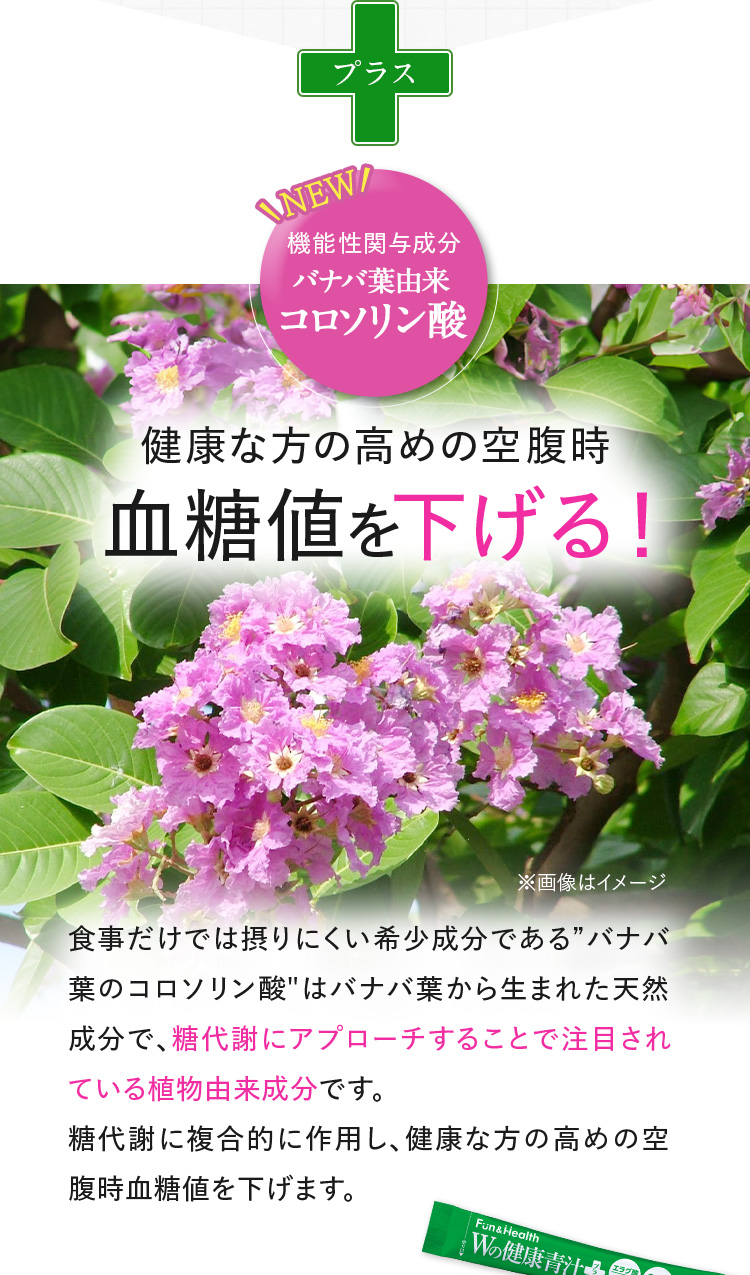 機能性関与成分「バナバ葉由来コロソリン酸」血糖値を下げる