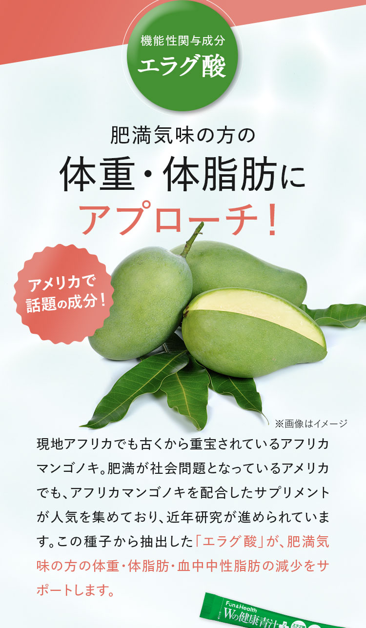 機能性関与成分「エラグ酸」体重・体脂肪にアプローチ