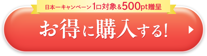 お得に購入する