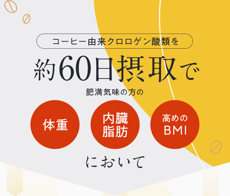 コーヒー由来クロロゲン酸類を60日摂取で体重 お腹の脂肪 BMIにおいて 
            