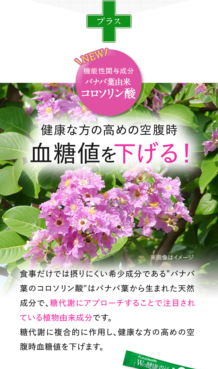 バナバ葉由来コロソリン酸が健康な方の高めの血糖値を下げる！