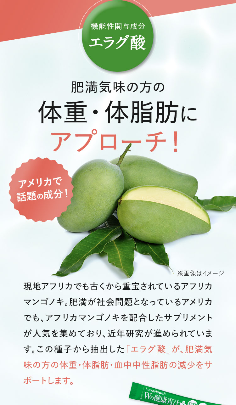 エラグ酸は肥満気味の方の体重・体脂肪にアプローチ