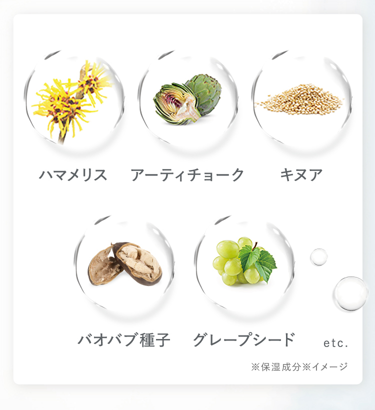 ハマメリス、アーティチョーク、キヌア、バオバブ種子、グレープシード etc  ※保湿成分※イメージ