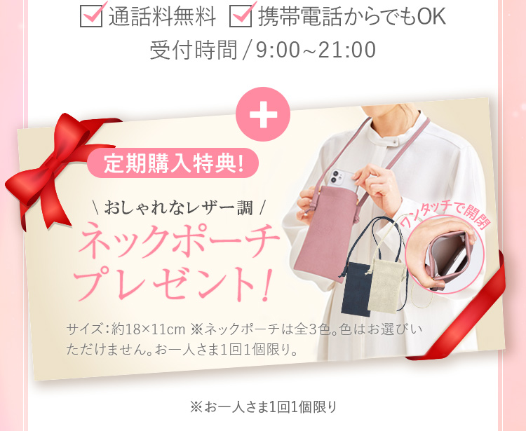 定期購入特典！たたむとおしゃれなポーチ風 エコバッグプレゼント！