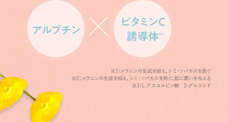 アルブチン × ビタミンC誘導体
