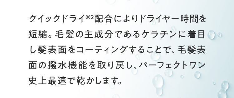 クイックドライ※2配合によりドライヤー時間を短縮。毛髪の主成分であるケラチンに着目し髪表面をコーティングすることで、毛髪表面の撥水機能を取り戻し、パーフェクトワン史上最速で乾かします。