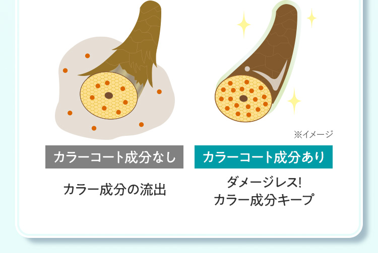カラーコート成分なし：カラー成分の流出 カラーコート成分あり：ダメージレス！カラー成分キープ