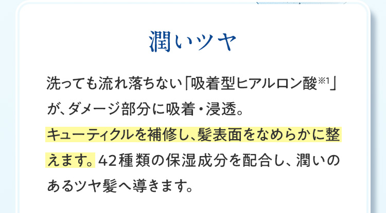 潤いツヤ 洗っても流れ落ちない「吸着型ヒアルロン酸※1」が、ダメージ部分に吸着・浸透。キューティクルを補修し、髪表面をなめらかに整えます。42種類の保湿成分を配合し、潤いのあるツヤ髪へ導きます。