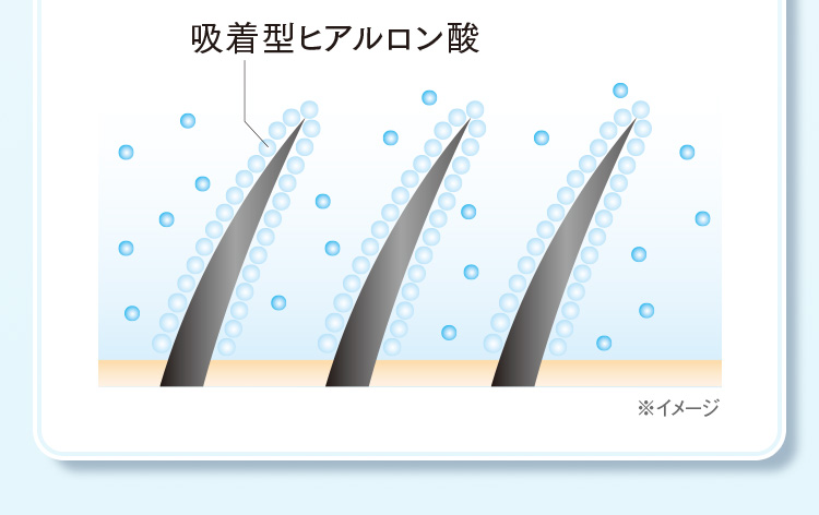 吸着型ヒアルロン酸