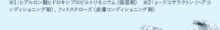 ※1：ヒアルロン酸ヒドロキシプロピルトリモニウム（保湿剤） ※2：γ−ドコサラクトン（ヘアコンディショニング剤）、フィトステローズ（皮膚コンディショニング剤）　