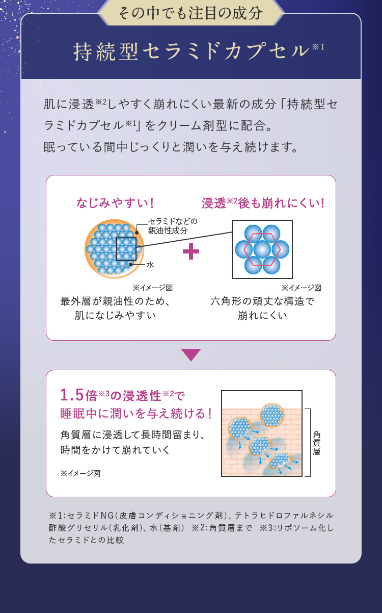 SPナイトクリーム 2024】 進化を続けた、10年の研究が織りなす夜の軌跡 | 新日本製薬