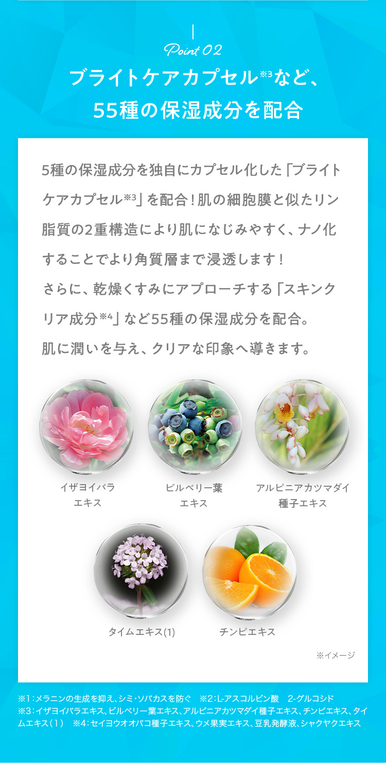 ブライトケアカプセルなど、55種の保湿成分を配合
