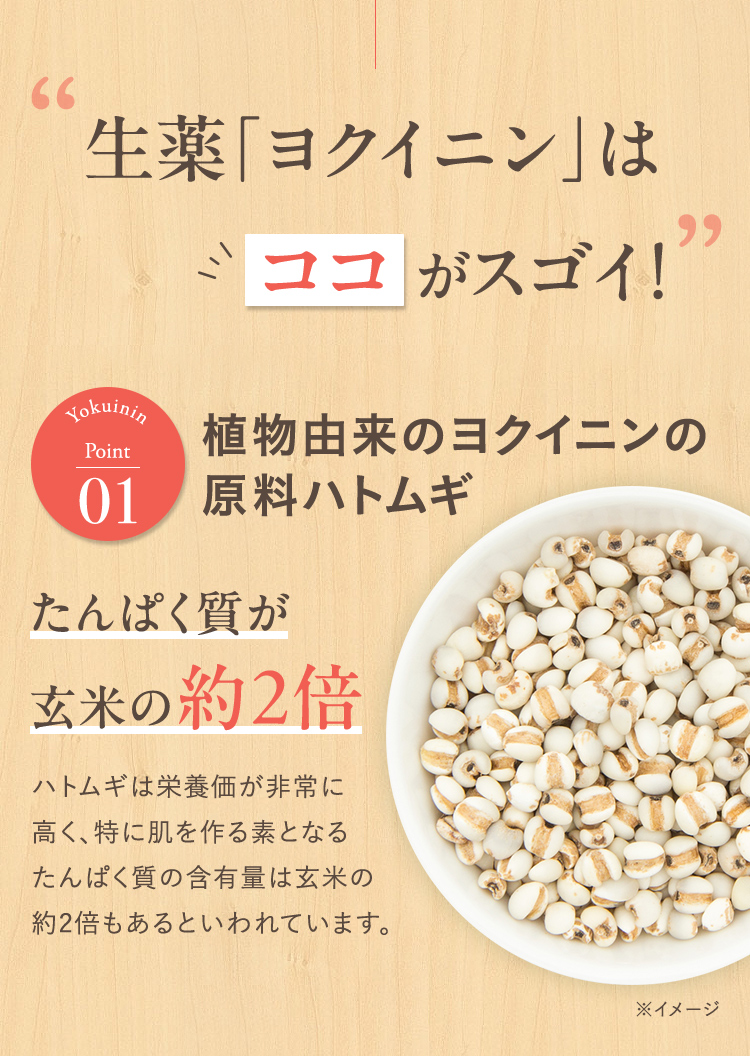 生薬ヨクイニンはここがすごい！原料ハトムギ