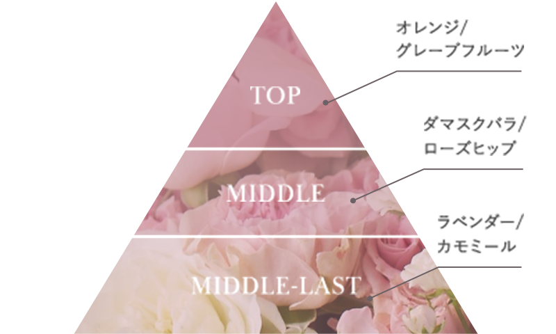 香りのピラミッド図