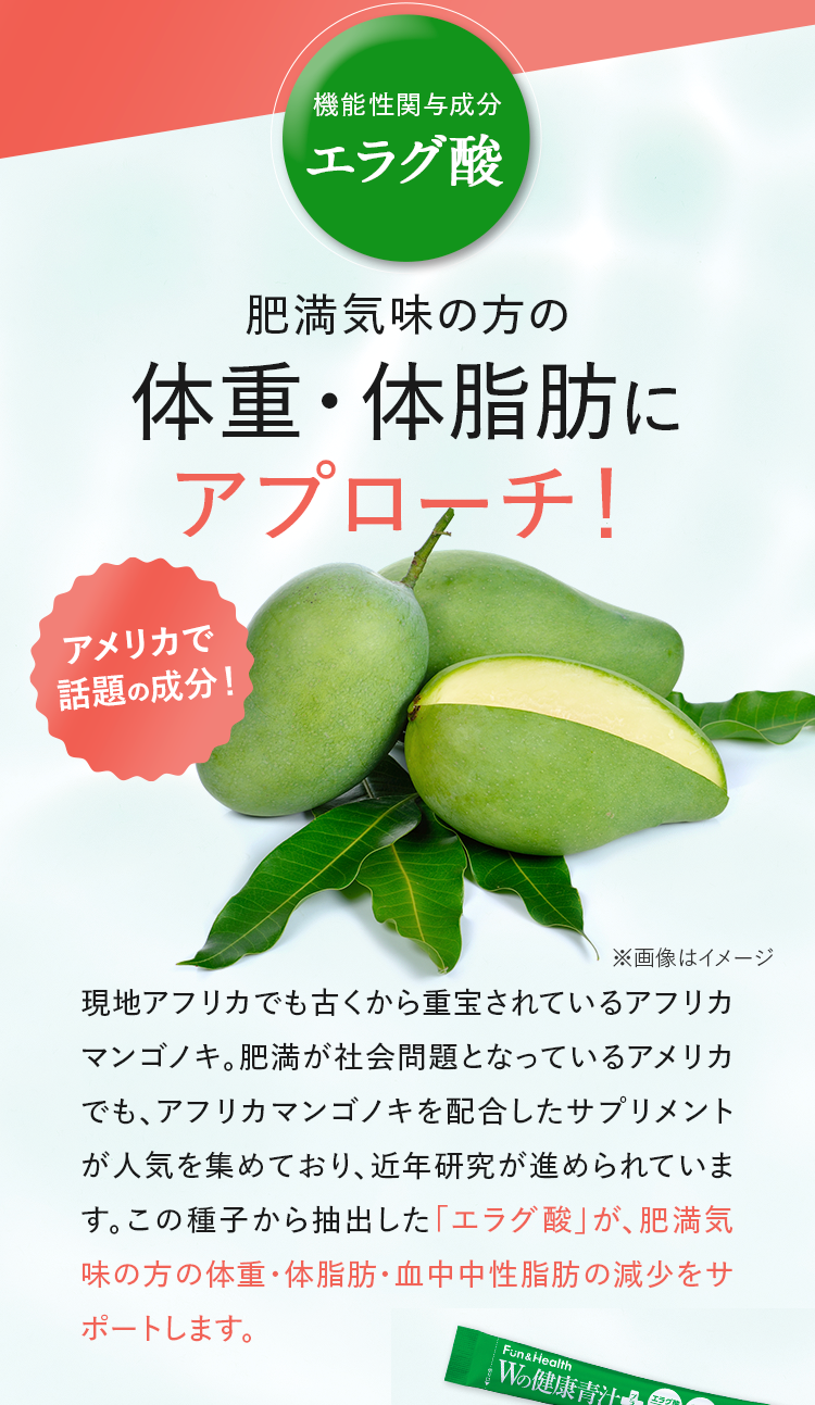 機能性関与成分 エラグ酸