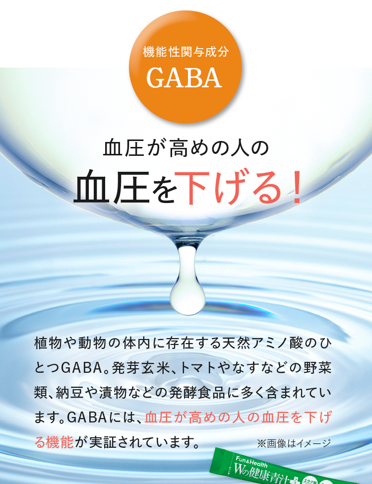 機能性関与成分 GABA