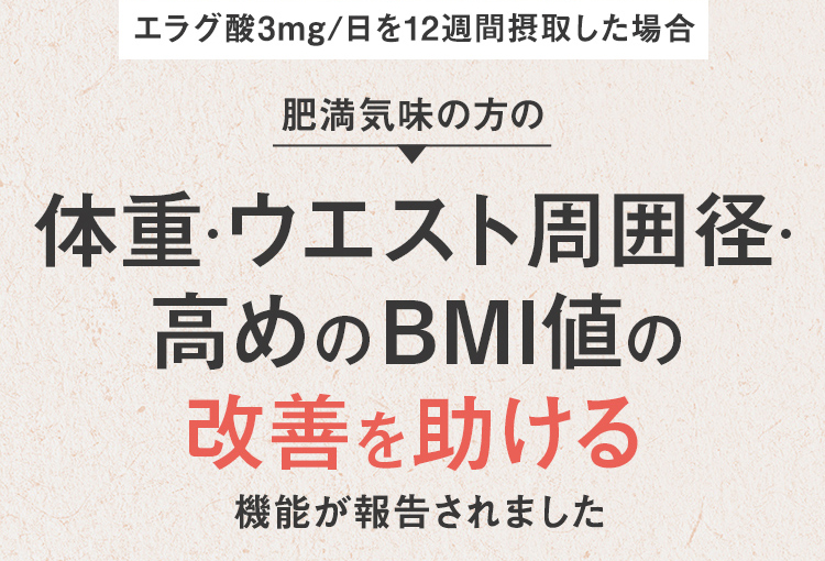 肥満気味の方の 体重･ウエスト周囲径･高めのBMI値の改善を助ける機能 が報告されました