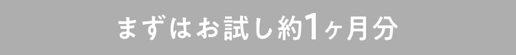 まずはお試し約1ヶ月分