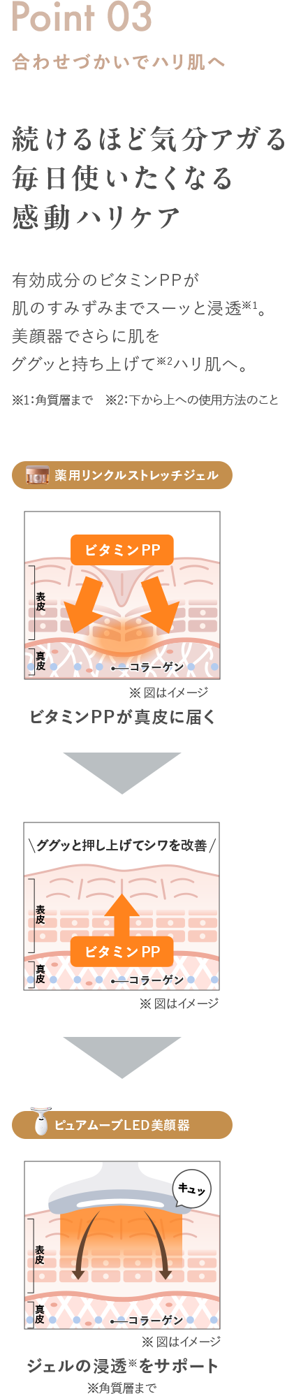 ビタミンPPが真皮に届く ジェルの浸透をサポート