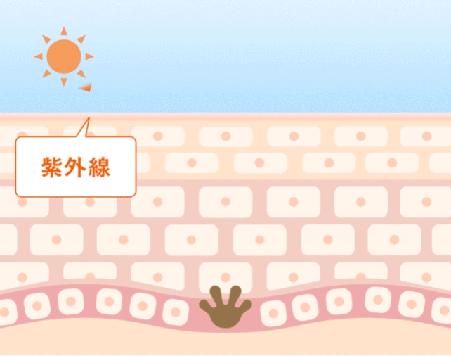 トラネキサム酸がメラニン生成を抑えるイメージ