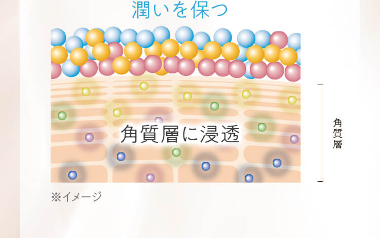 角質層に浸透潤いを保つ