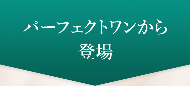 パーフェクトワンからついに登場