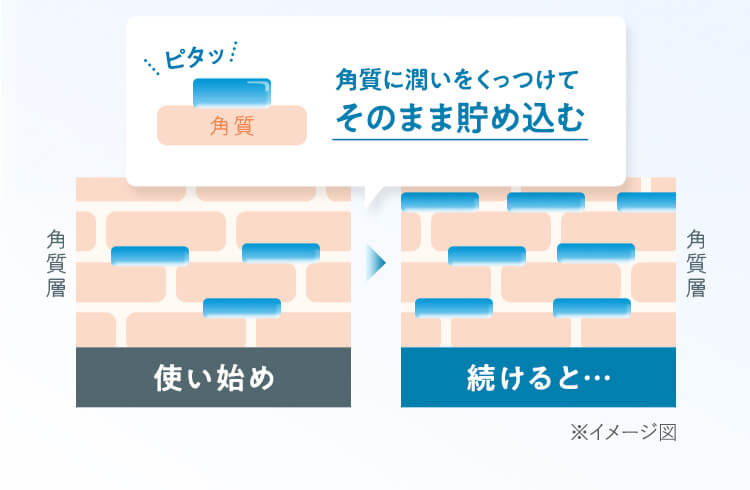 角質に潤いをくっつけてそのまま貯め込む