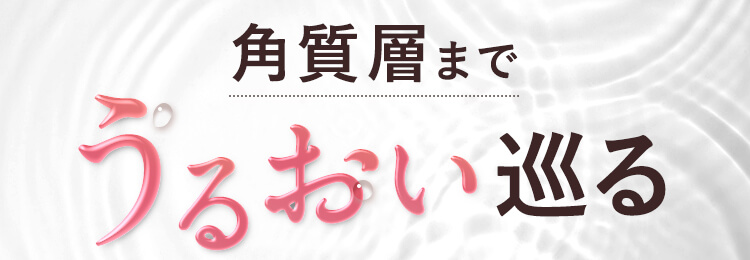角質層までうるおい巡る