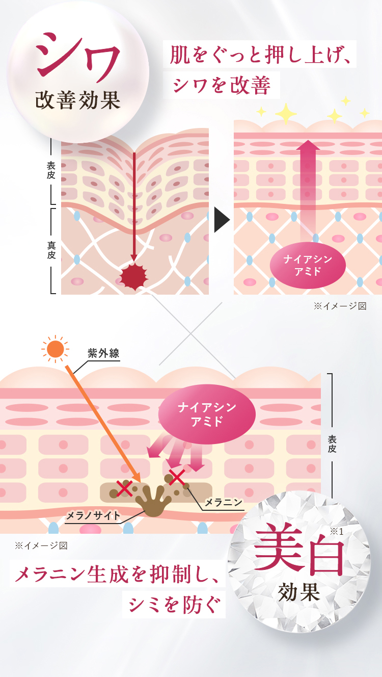 シワ改善効果 肌をぐっと押し上げ、シワを改善 美白効果 メラニン生成を抑制し、シミを防ぐ