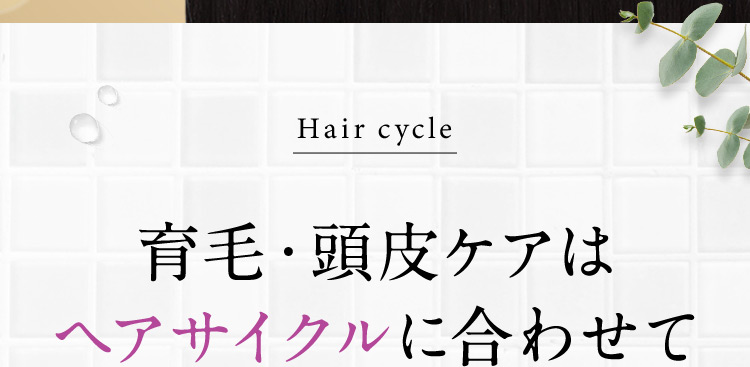 育毛・頭皮ケアはヘアサイクルに合わせて
