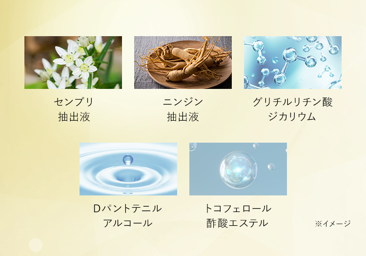 センブリ抽出液 ニンジン抽出液 グリチルリチン酸ジカリウム Dパントテニルアルコール トコフェロール酢酸エステル ※イメージ