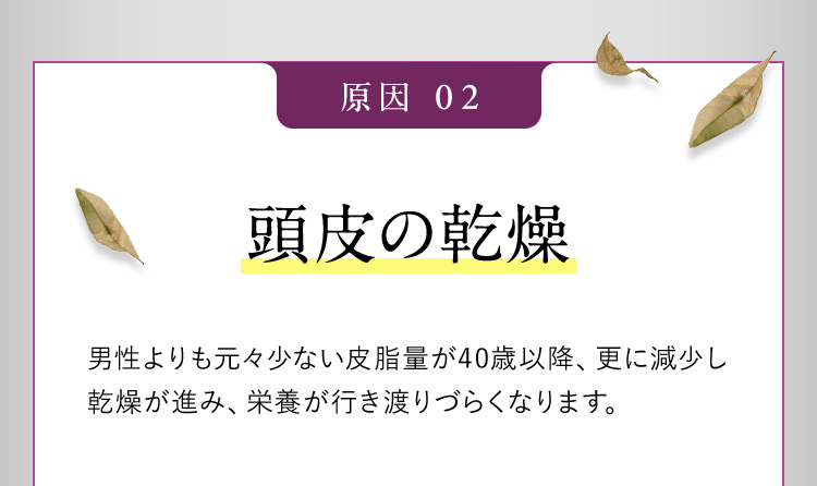 原因02 頭皮の乾燥 男性よりも元々少ない皮脂量が40歳以降、更に減少し乾燥が進み、栄養が行き渡りづらくなります。