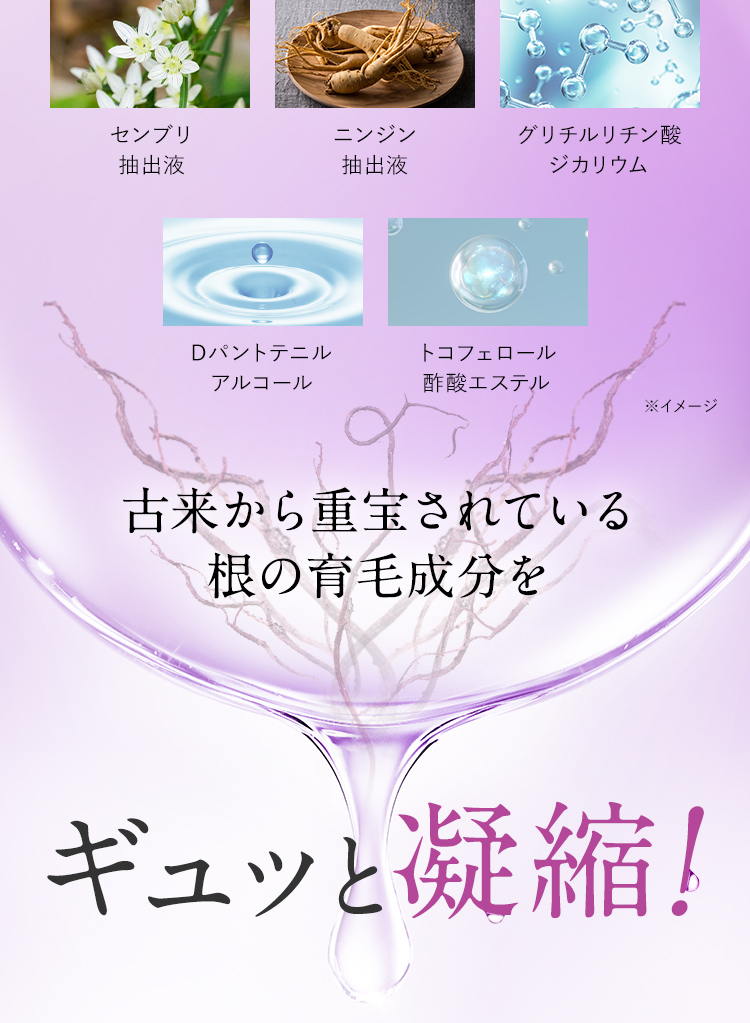 センブリ抽出液 ニンジン抽出液 グリチルリチン酸ジカリウム Dパントテニルアルコール トコフェロール酢酸エステル ※イメージ 古来から重宝されている根の育毛成分をギュッと凝縮！