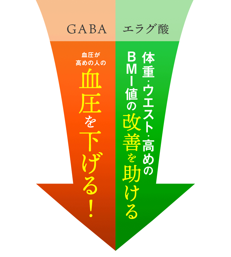 GABA 血圧が高めの人の 血圧を下げる！ エラグ酸 体重･ウエスト･高めのBMI値の 改善を助ける