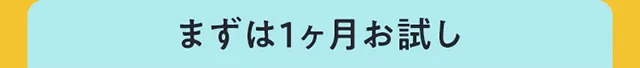 まずはお試し1か月