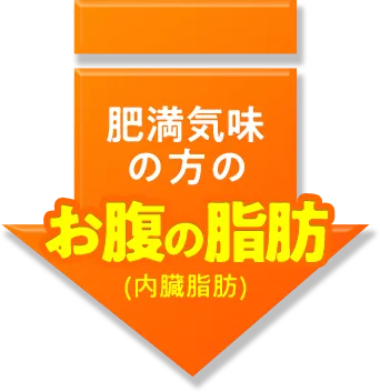肥満気味の方のお腹の脂肪