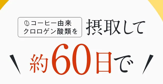 コーヒー由来クロロゲン酸類を摂取して約60日で