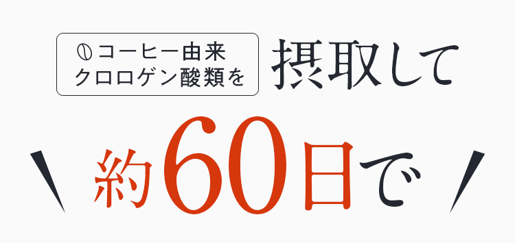 コーヒー由来クロロゲン酸類を摂取して約60日で